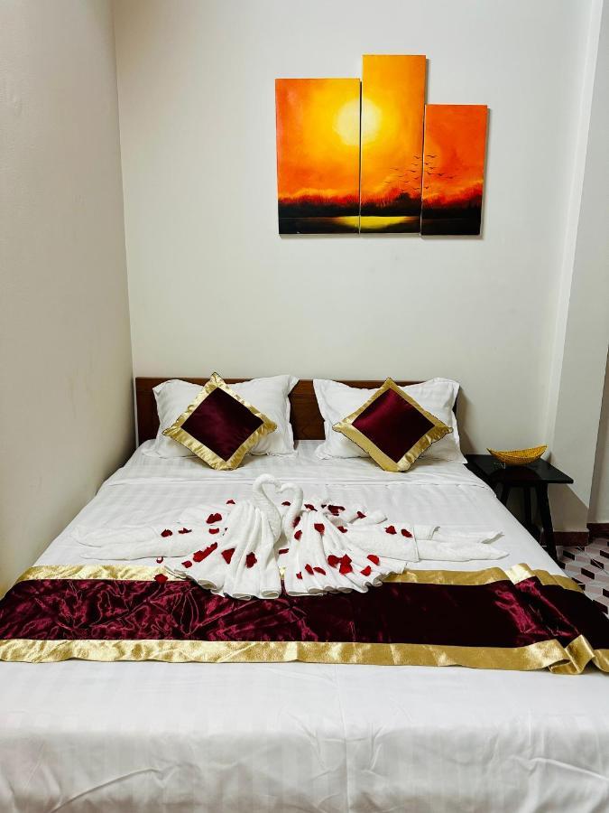 Dk House Homestay 会安 外观 照片